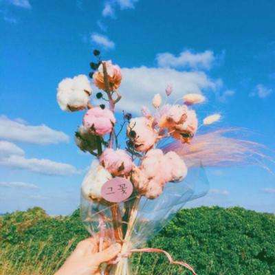 新利luck备用网址