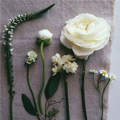 BoB体育app下载手机版官网